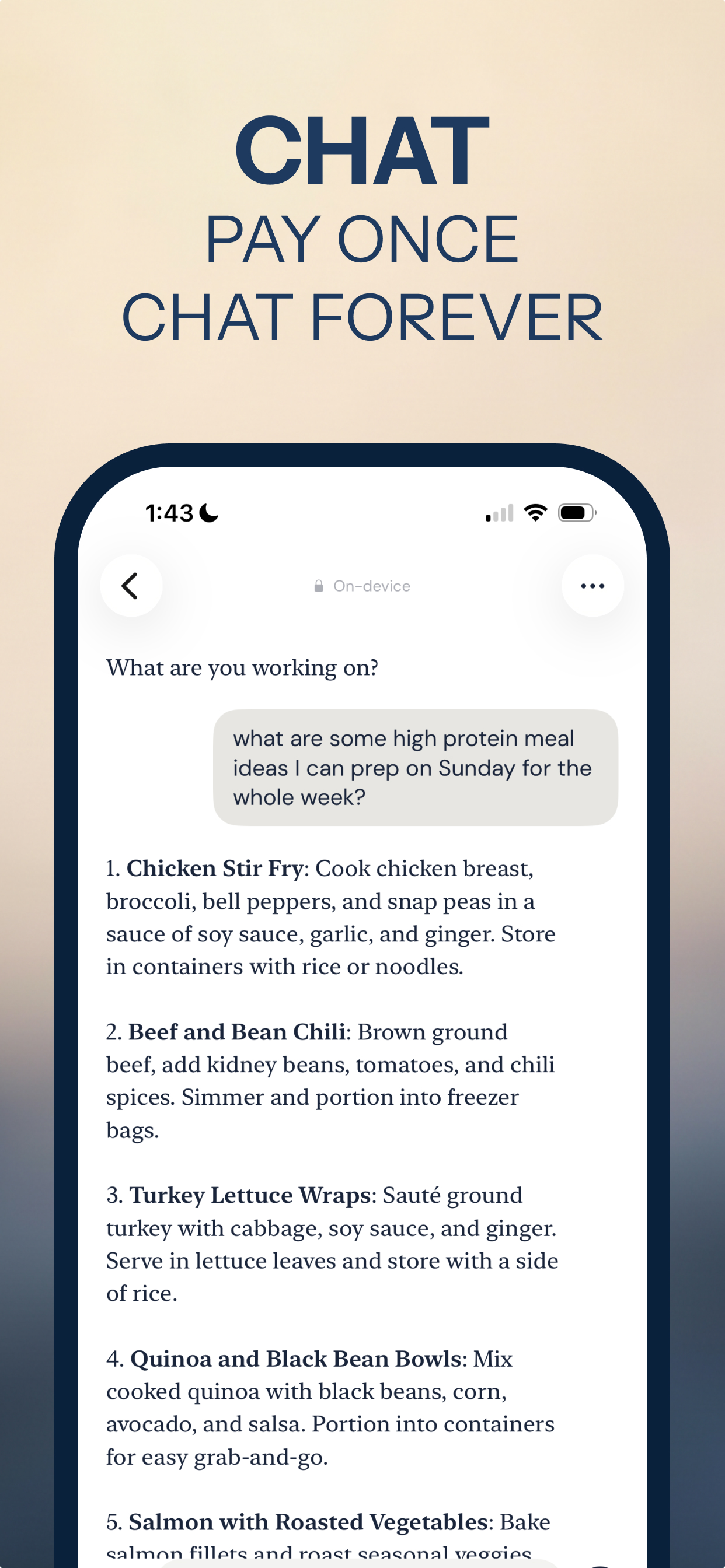 Vault AI answering a high-protein meal prep question completely offline